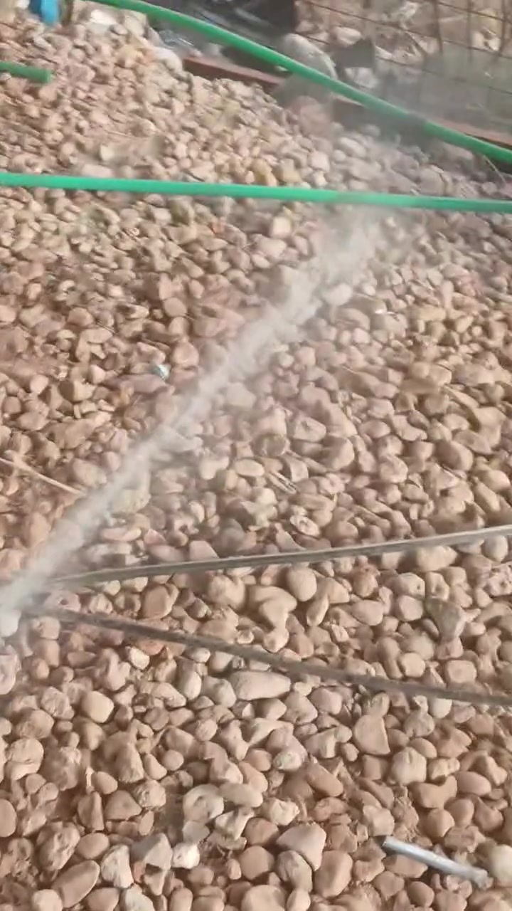 مرحبا مره خصت المدير ماطور غسل سيارة كهرباء مع صونده كتان وليس سيم 10امتار واير سيار 15متر والسعر 250الف وبي مجال قليل العنوان ديوانيه وهذا رقمي ***********
