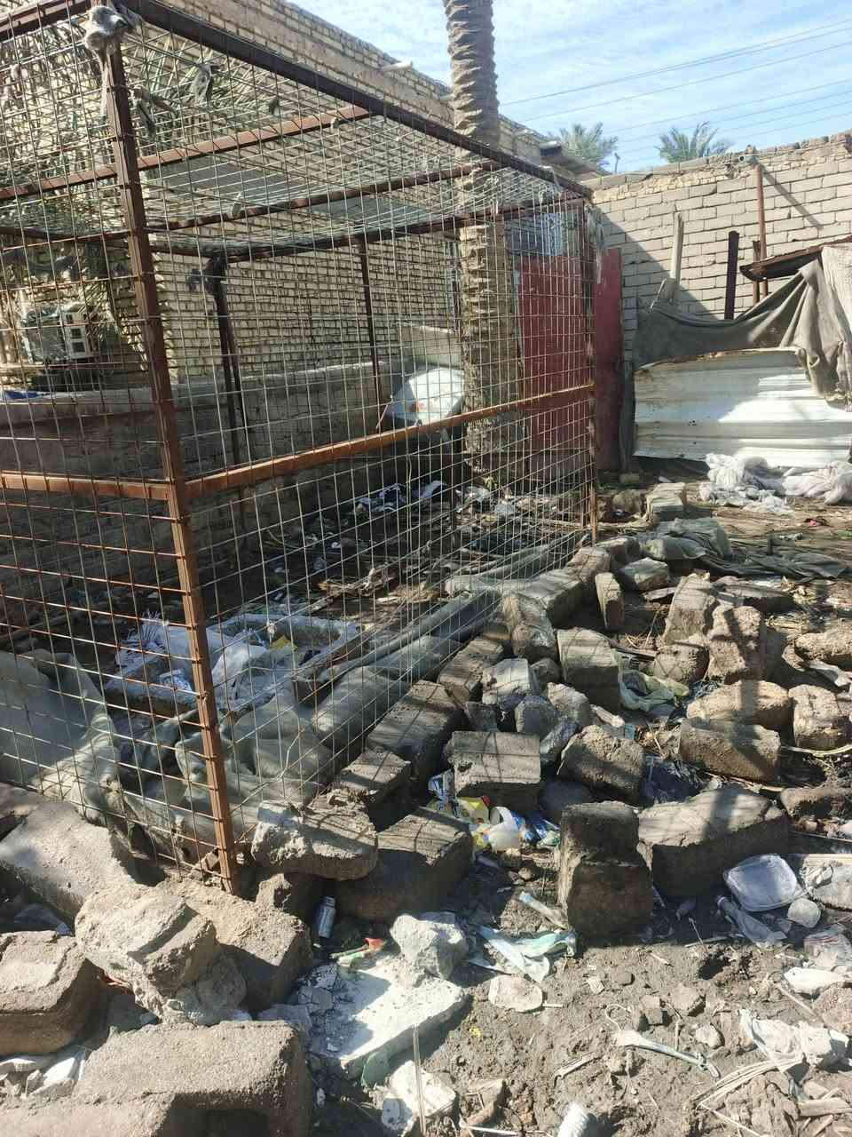 سلام عليكم قفص البيع الطول 3والعرض 2ونص والرتفاع 2ونص سعر 200وبيه مجال الشراي مكاني  سوق الشيوخ گرمة بني سعيد رقمي ***********
