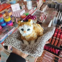 تجهيزات ليان • كوزماتيك • السنية شارع تجاري