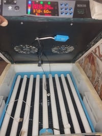 فقاسه للبيع 64 بيضه تقليب اوتماتيك جديد كامله مكاني حاج علي 0771853985...