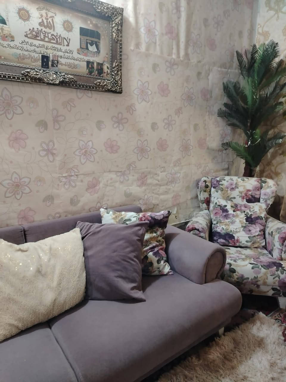 تخم اخو الجديد 400وبي مجال


**إذا كنت صاحب هذا الإعلان وتريد حذفه لأي سبب، رجاءا أرسل رسالة إلى الدعم الفني**