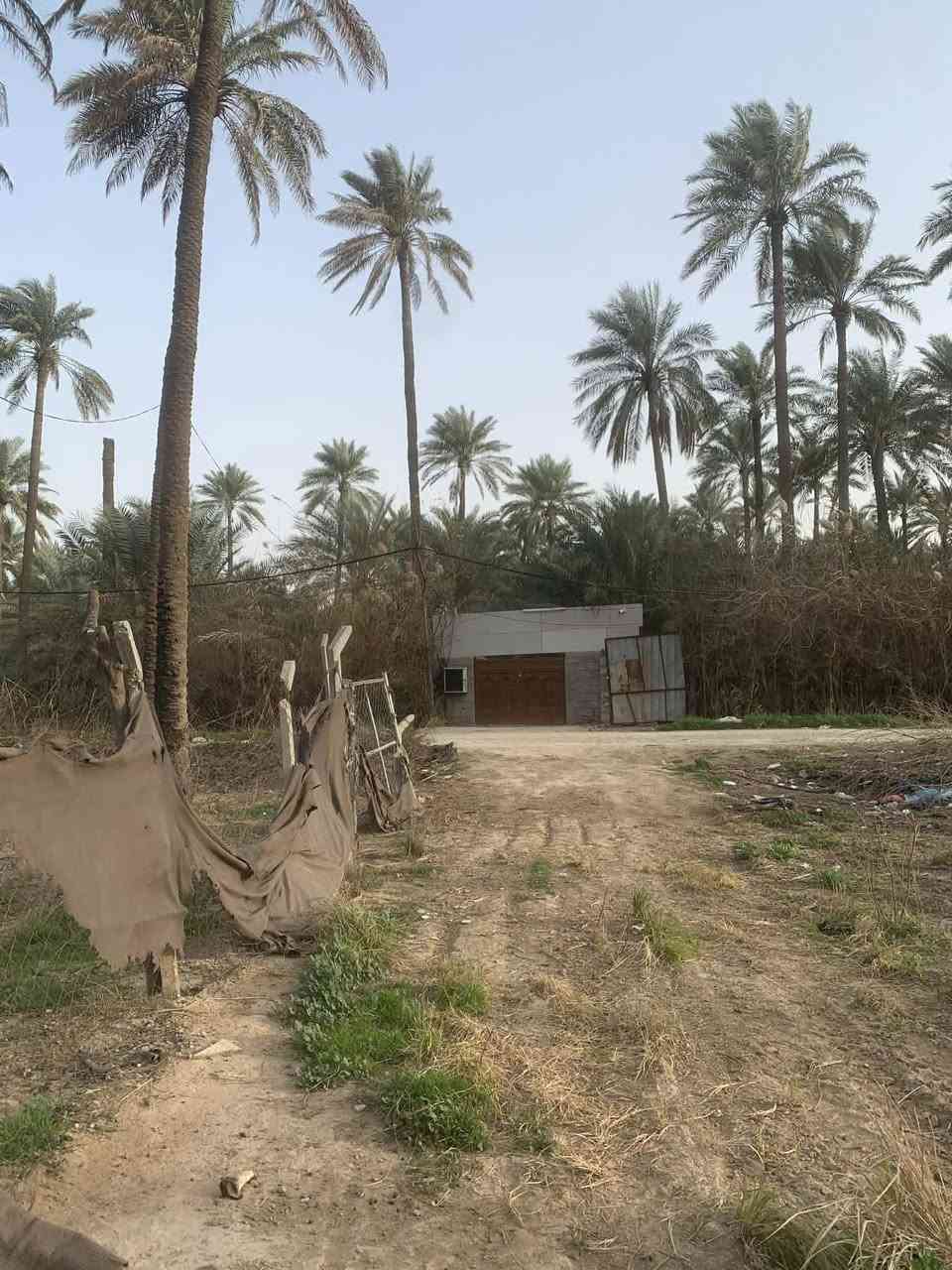 سلام عليكم
قطعة ارض للبيع / مساحه 300م واجهيه 14
الموقع: بعقوبة منطقة شفته قرب بستان ابراهيم شيمر 
الخدمات: واصل ماء وكهرباءء وطني ومولد
للاستفسار يرجى الاتصال عبر الرقم ادناه:  ***********
