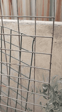 متاح متاح اربع قطع سيم بي ار سي الامريكي الحديد القديم مثل ما واضح س ك...