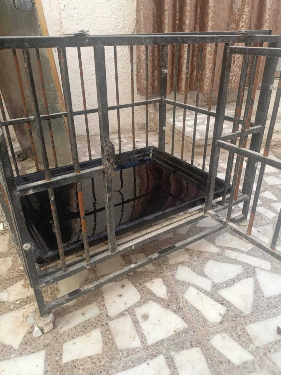 للبيع كلمن وسعره مكاني نجف اي استفسار خاص


**إذا كنت صاحب هذا الإعلان وتريد حذفه لأي سبب، رجاءا أرسل رسالة إلى الدعم الفني**