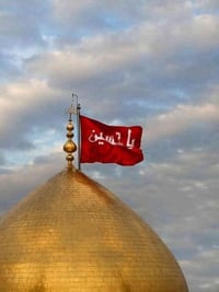 أعلان جدول الزيارات من 👑( حملة السجاد ع )👑       🌺🌺🌺🌺🌺🌺 ١- يوم الخميس ...