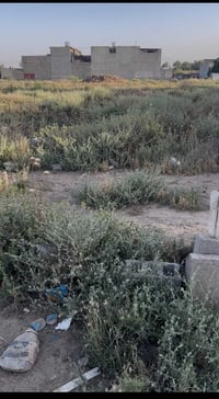 جمعية الإمام • طابو صرف • ١٢٥م