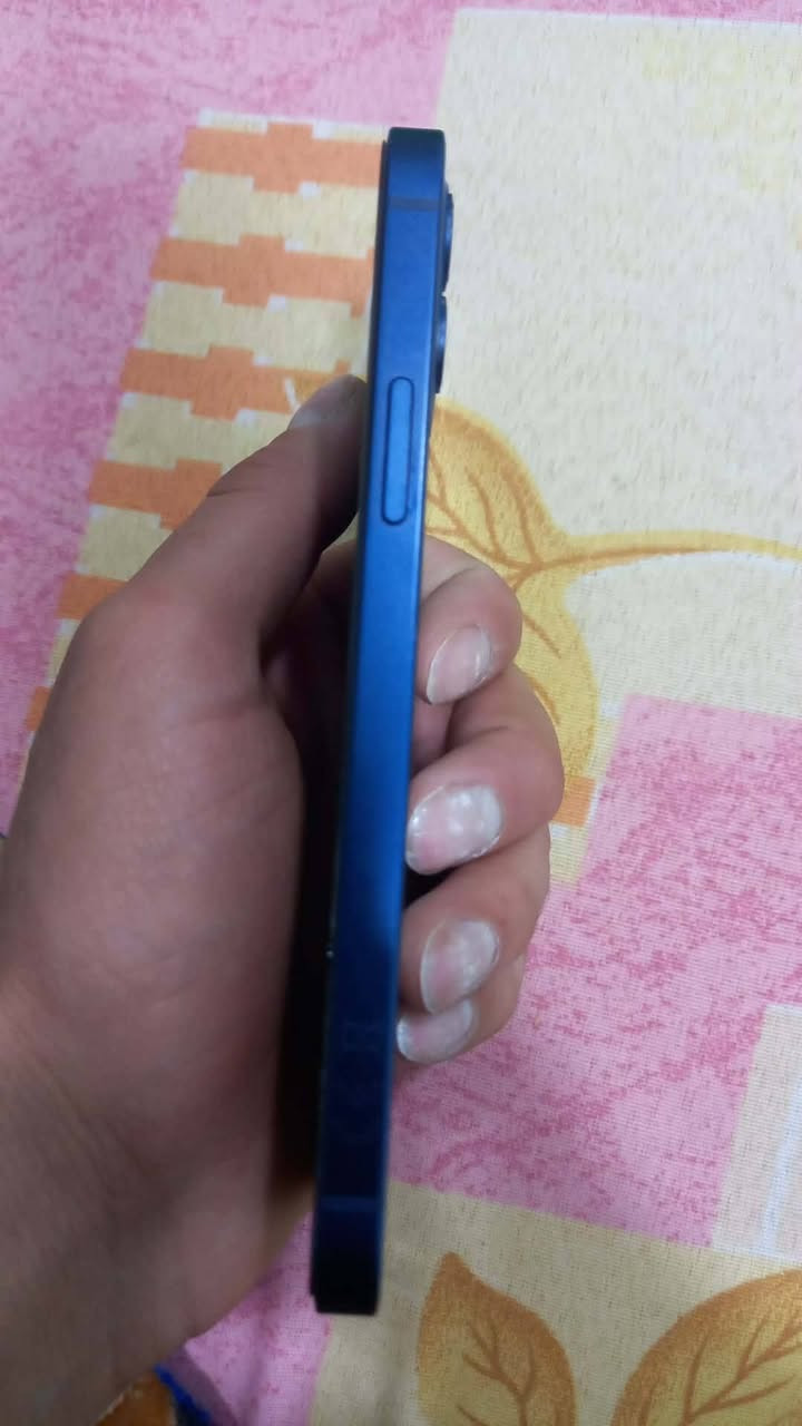 12 عادي مكفول  سعره ب250


**إذا كنت صاحب هذا الإعلان وتريد حذفه لأي سبب، رجاءا أرسل رسالة إلى الدعم الفني**