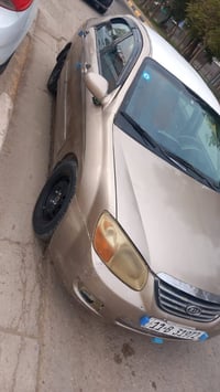 سبكترا • ٢٠٠٩ • صبغ عام