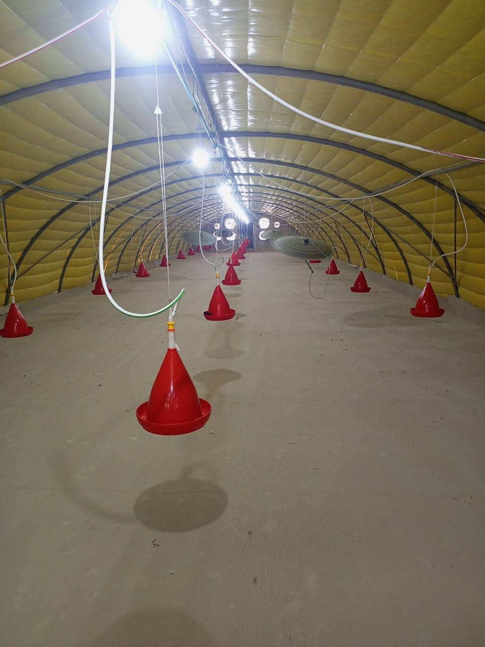 السلام عليكم حقل دواجن للبيع طول ٤٤ متر العرض ٩ الحديد جديد المعالف المنهال العازل جادر لايلون حاضنات خزانات ماء ساحبات صحراوي تهويات تاسيس كهرب تاسيس ماء غراض قاعه كامل جاهز مابي اي نقص سعه ٦ تالاف دجاج عنوان موصل 
***********
***********
***********
