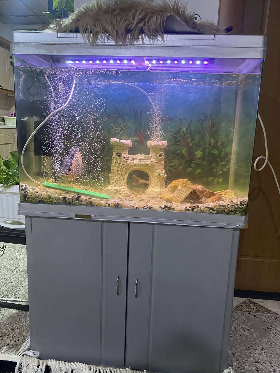 حةوزى ماسى قياسى كةورة دريزى ٨٣ سم و فلتةرى شةريكة و ليدى ٦٠ سم خوى لةكةلة و ميزى شةريكةى لةكةلة و كاملة


**إذا كنت صاحب هذا الإعلان وتريد حذفه لأي سبب، رجاءا أرسل رسالة إلى الدعم الفني**