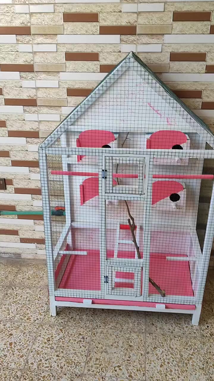 متاح قفص ارتفاع متر 45 واجهيه 87 عمق 51


**إذا كنت صاحب هذا الإعلان وتريد حذفه لأي سبب، رجاءا أرسل رسالة إلى الدعم الفني**