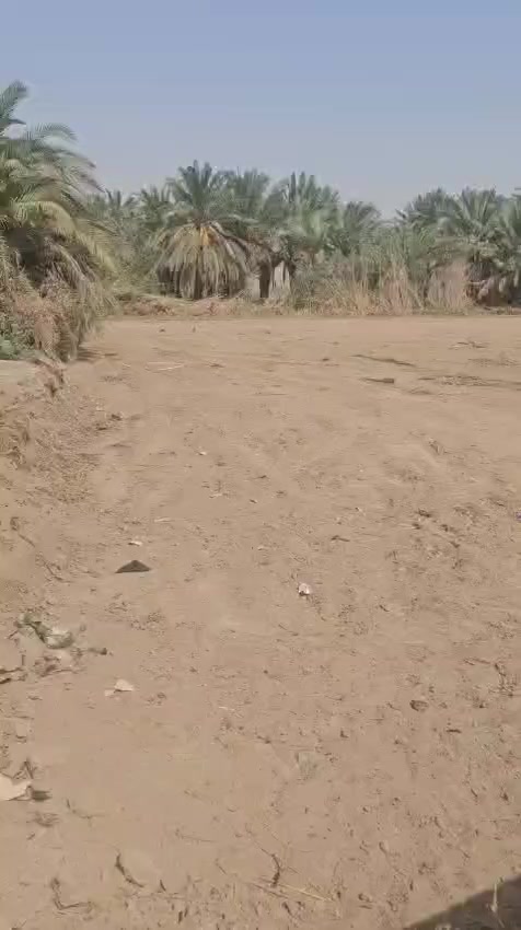 قطعه زراعي المساحه 1800
مقسمه ع 300 متر 
المكان  الشطره 
حي الزهراء 7نيسان  نهاية شارع السياسين
 قرب المدرسه الصينيه الجديده 
ماي كهرباء،بصفك 
***********
***********
