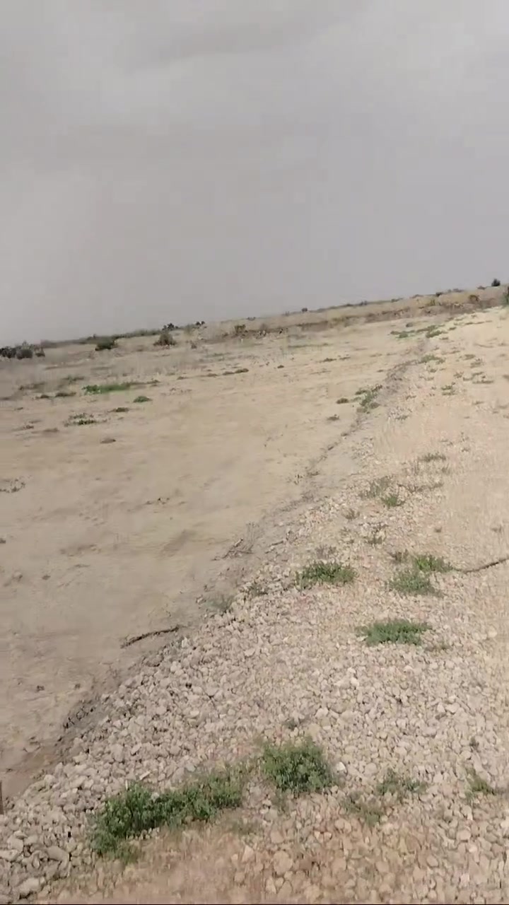 رقم الاستفسار ***********
