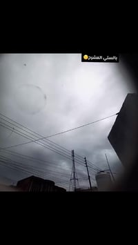 انتنس • حك • مشرح