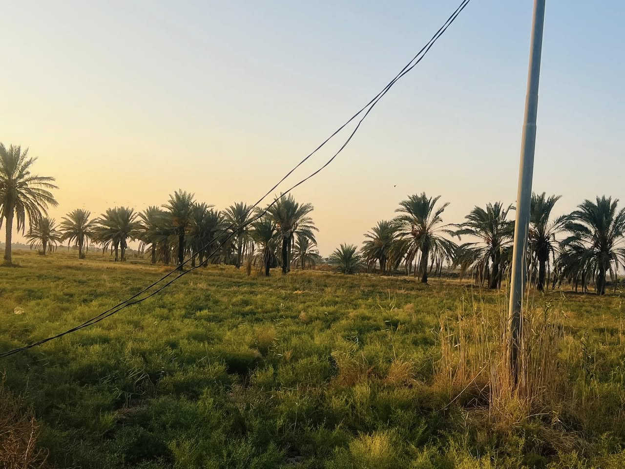 سلام عليكم ارض طابو للبيع المساحه 30 دونم سند مستقل بأسم شخص واحد الارض مكانه حلوه تصلح مجمع سكني او شاليات العنوان طريق كربله نجف طريق مفرك الكفل عمود 350 
استفسار.   ‭0783 885 1910‬
