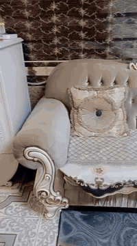 تخم ملكي للبيع اي عيب مابي شراي خابر رقم *********** عنوان كركوك
