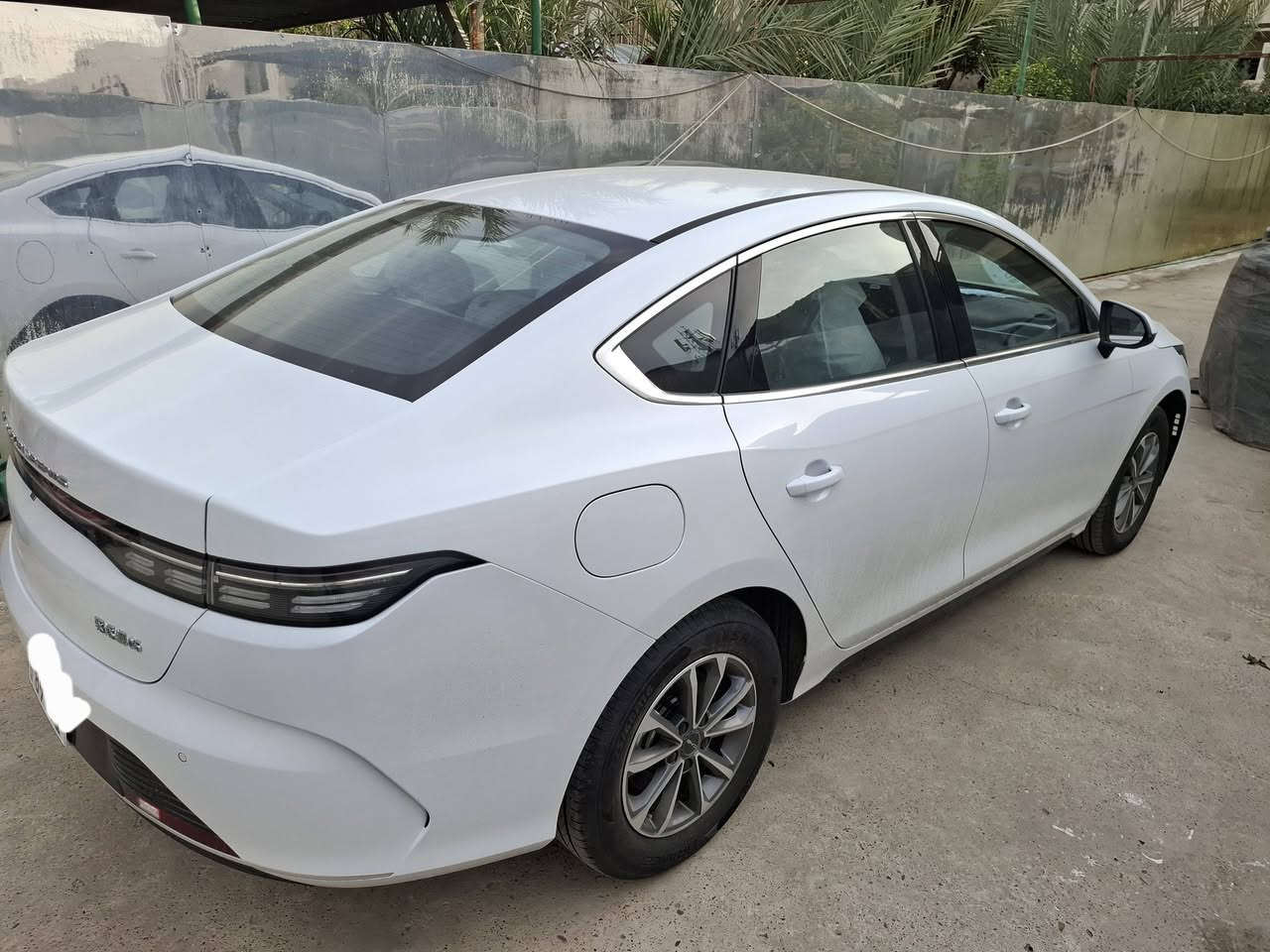 دستروير زيرو مرقمة بغداد
السنوية باسمي وهزة جديدة 

مع كامل الملحقات 

السعر 19250 نهايتها 

للاستفسار *********** 

مكاني بغداد زيونة
