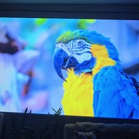 بروجيكتور • فول اتش دي • أندرويد