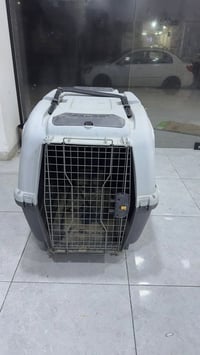 قفص كبير • للكلاب • نظيف