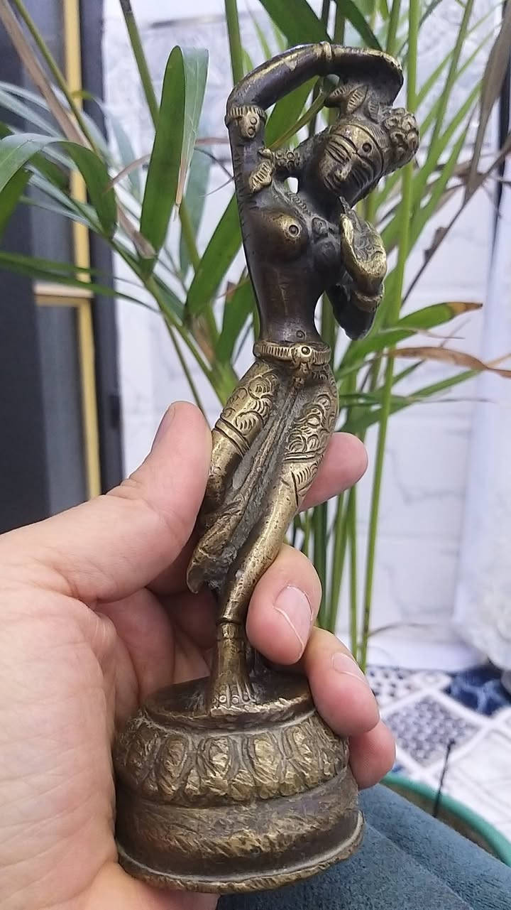 الوزن ٧٥٠ غرام الطول ١٨ سم


**إذا كنت صاحب هذا الإعلان وتريد حذفه لأي سبب، رجاءا أرسل رسالة إلى الدعم الفني**