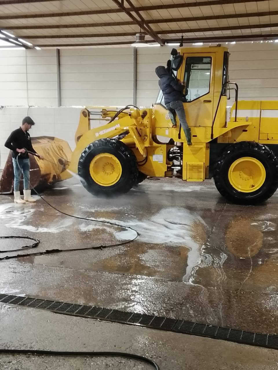 كاوسكي دور حجم 65//محرك ازوزة كفالة عامة جديدة كلة وضع شركة لعنوان بصرة مشتغلة 17//الف ساعة دخول موديل2003//معلة17كاملهزةومعاملةماشية تستلم رقم وسنوية جديد داخلة ب 2017 // ***********
