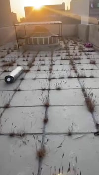 تخفيضات لفتره محدوده 😍 #سعر_المتر_5_الاف_دينار_كرسته_كله_ورانه 0783070...