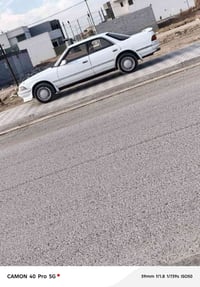 مارك شطح • ١٩٩١ • رقم ديالى