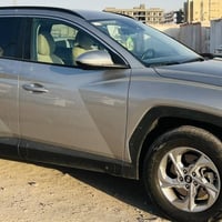 توسان • ٢٠٢٤ • وارد امريكي