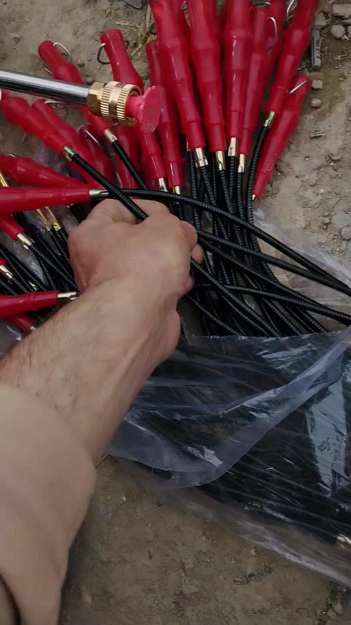 العنوان الشطره الحولي الظاهر المدرسه الاهليه حبيب المصطفى ***********
