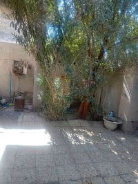 الدسيم مقابل السوق • ٢٨٠م • ٣ غرف