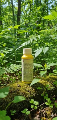 منشّط نباتي • تحسين الإزهار • الحلة بابل