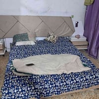 كنتور • جربايه • نضافه ٦٠%