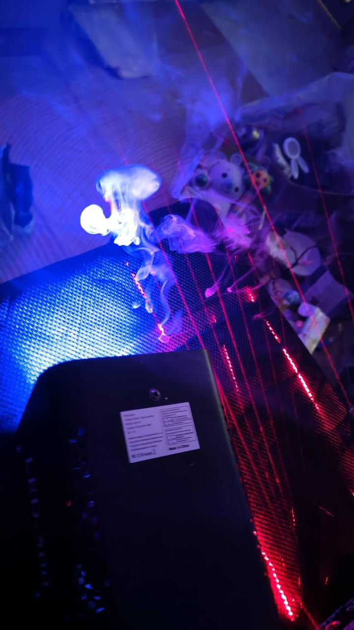 نشرات عدد 3 قطع اعلى سعر ابيع


**إذا كنت صاحب هذا الإعلان وتريد حذفه لأي سبب، رجاءا أرسل رسالة إلى الدعم الفني**