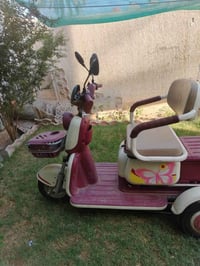 دراجة شحن • شهرين • جديدة