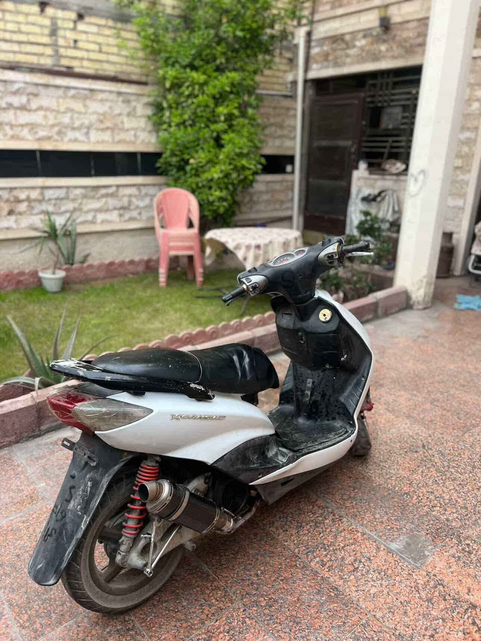 سعر 425 بيه مجال انطني سعرك اذا عجبني بل عافيه
سلام عليكم سكنس نثيه رياضي دراجه نضيفه ومرتبه مكينه تخبل بوشه ٥٨ ونص دراجه مرتبه صالنصه شمكان كاربون فايبر جوكر كفرات جدد تاي وان اصلي بس بدون ختم دراجه تاخذه تترحملي عليه فيس مالتي  موجود Zofy Zofy 
رقمي +964 787 458 5084 وتساب فقط


**إذا كنت صاحب هذا الإعلان وتريد حذفه لأي سبب، رجاءا أرسل رسالة إلى الدعم الفني**