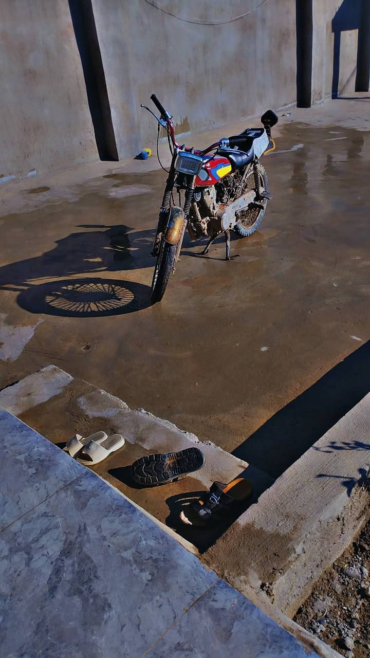 السلام عليكم موطور تايگر موديل ٢٠١٩ مفتوح السعر ٢٥٠ وبي مجال مبدل ولفات فقط الموطور محول حربي غراضو موجودات دشبول+چاملغ وره وبگلايت واشرات موجودات كهربائيات شغالات كلهن رقمي ***********
