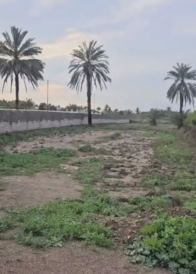 دونم زراعي للبيع بمدخل واحد مقابيل مشروع الماء الصغير واصله خدمات ( ماء - كهرباء - تبليط )  الوجه17 وانزال 147
‏‭***********‬
