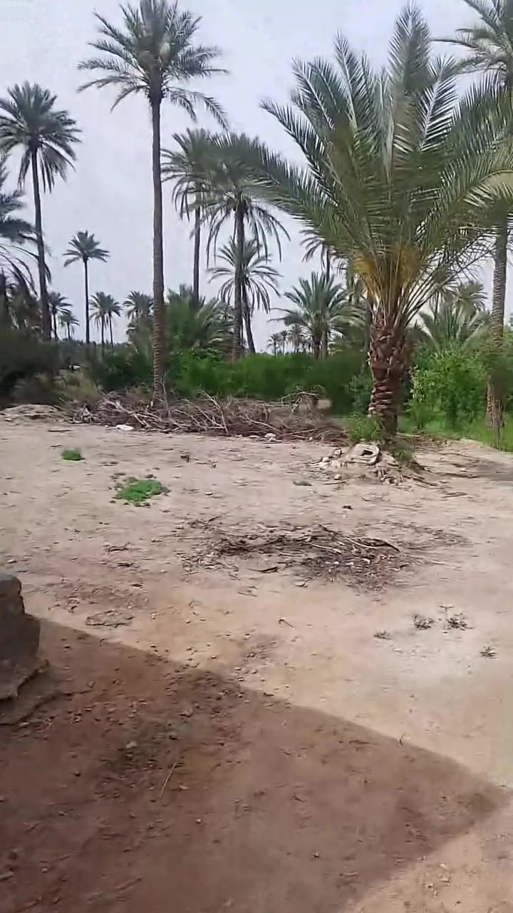 ✅️ثلاث دوانم  ونص للبيع واجهه
36 متر مع بيتين   

وجه على شارع تبليط   عرض 10 متر 

✅️متوفرة كافة الخدمات

تبليط، ماء، كهرباء، مدارس 

طابو صرف سند عثماني

✅️الموقع كربلاء - منطقة

الجذار  شارع نجف كربلاء عمود 1141

تبعد من مركز مدينة كربلاء 10 كيلو

📞 للاستفسار :  ***********
