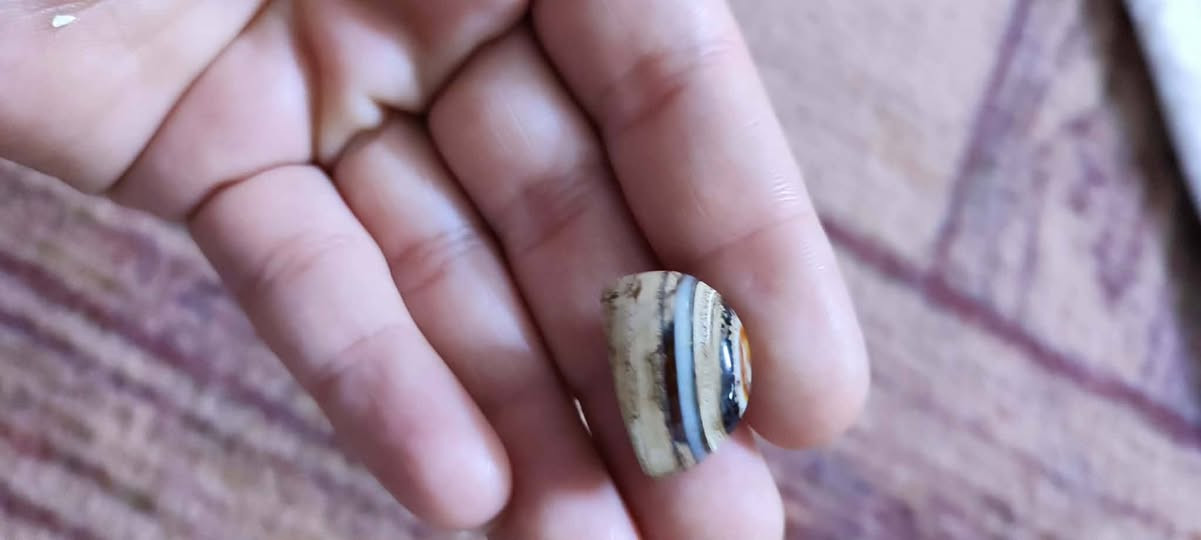 سليماني عين صريح ومن اسفل قبه سعر القطعه 25 توصيل جميع المحافظات


**إذا كنت صاحب هذا الإعلان وتريد حذفه لأي سبب، رجاءا أرسل رسالة إلى الدعم الفني**