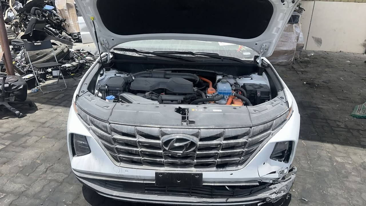 وصول توكسان هايبرد بلك ان
2024 لمتد تفصيخ شركة الماسة

بغداد الكراده شارع المسبح 

***********
