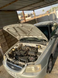 أكسنت فيرنا • ٢٠٠٩ • ١٦٠٠