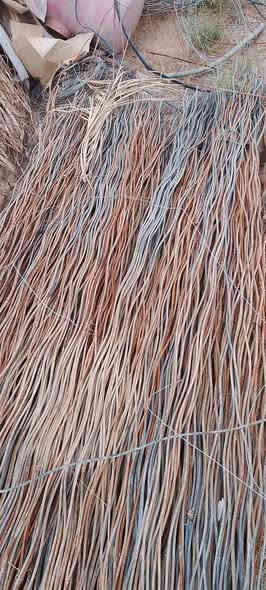 شيش للبيع العدد الف شيش
ديالى الهاشمية ***********
