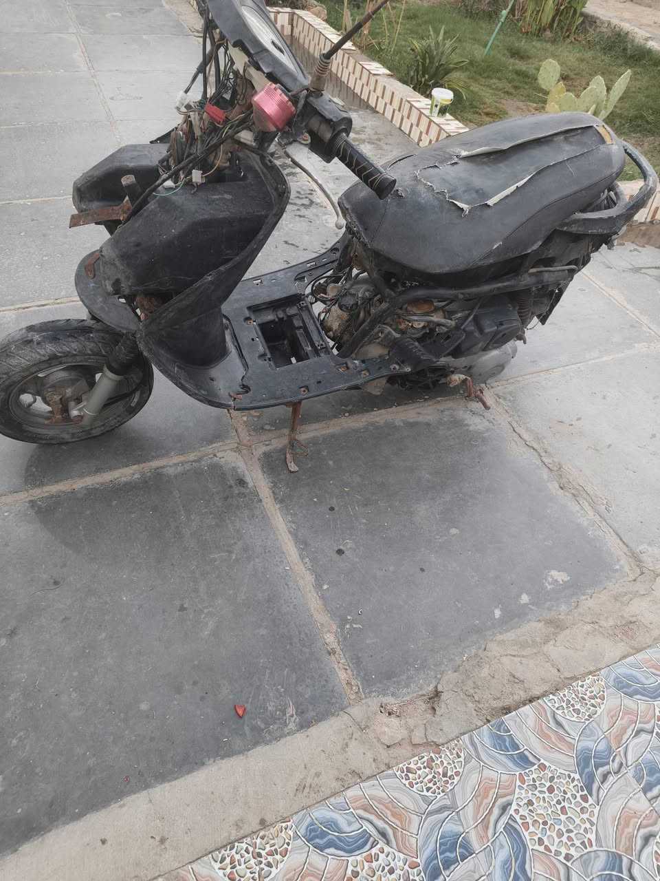 سلام عليكم دراجه فراشه فحل اللبيع تواصل على رقم ***********
