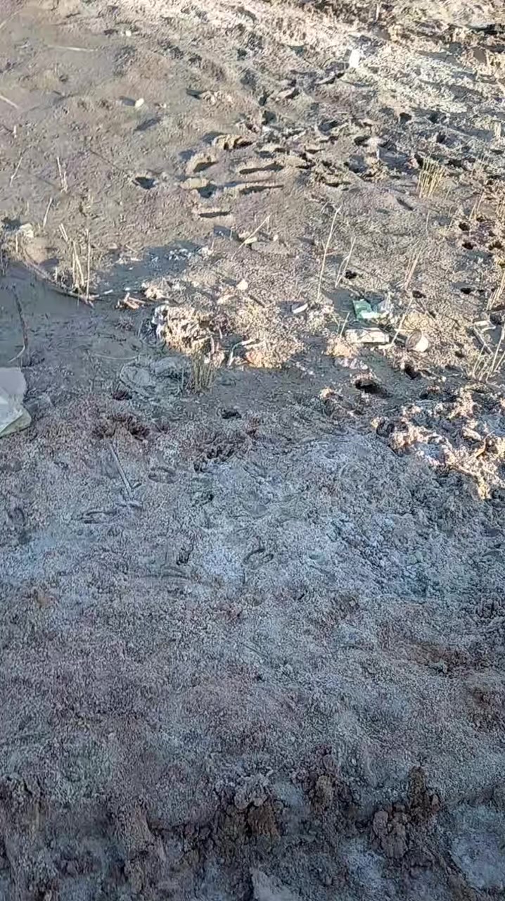 البندقيه بالزراعي ٢٠٠ متر نهاية شارع ٢٠ مال البندقيه عاليسار اول فرع عاليمنه نهاية الفرع قريبه كلش عالبندقيه ***********
