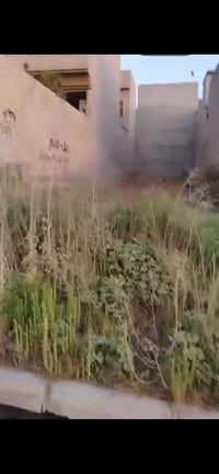 مشرفه الاولى • ١٥٠م • واجهة ٦م