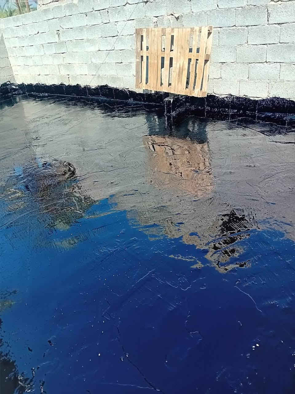 تعلن سكله المنكوشي البيع الكير الدرجه الاولى في محافظة كربلاء اتصال على رقام تاليه 📞***********/***********
