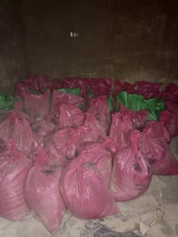 أكياس جص • المعمورة • المدرسة الكرفانية