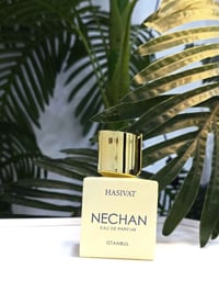 عطور • ثبات وفوحان • كركوك