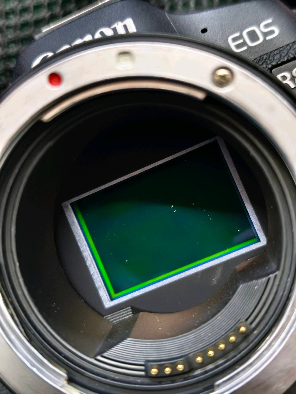 كاميرا كانون R8 + ادبتر + عدسة 70-200 فتحه 2.8 اصدار ثاني دبل ستبلايزر 