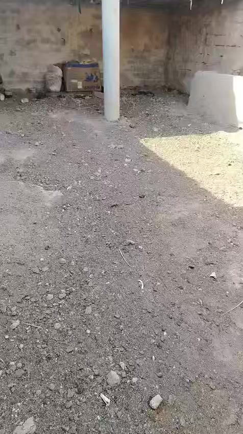 مزرعه للبيع في الشعيبه خلف حي المرتضى مرتسم زراعي بسمي المساحه 10 دونم تحتوي على بيتين سكن مع ديوان خارجي حوالي ٣٥٠ نخله متنوعه وتحتوي على ثلاث جاخور لتربيه العجول وثنين ارتوازيات ماء حلو للتواصل ***********
